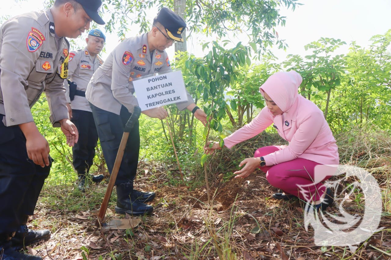 DetikNews content image