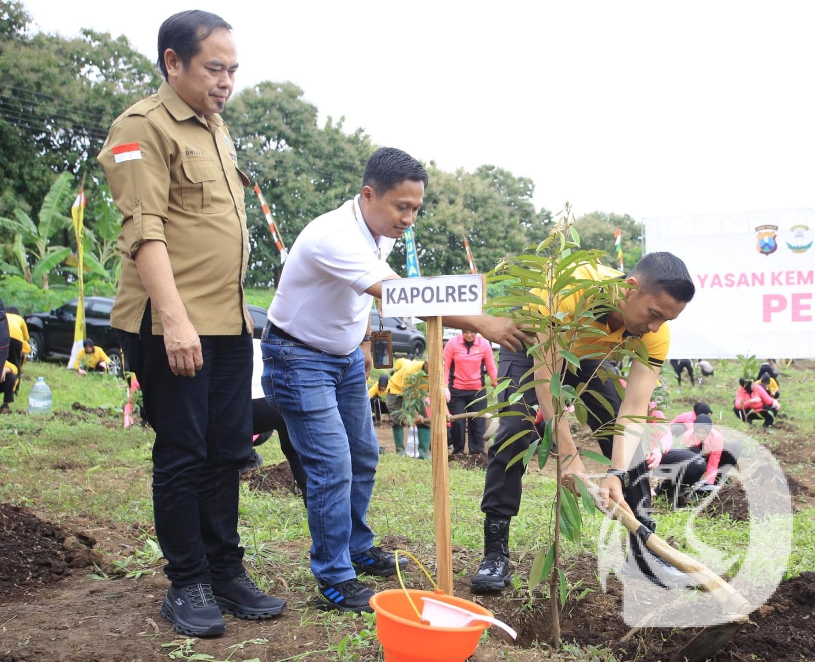 DetikNews content image