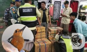 Ratusan ekor burung, ditemukan Barantin di Kapal KMP Mutiara Perkasa