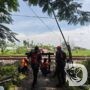 KAI Daop 8 Surabaya Tutup 139 Perlintasan Sebidang Sejak 2020