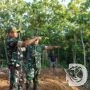 Danrem 084/Bhaskara Jaya Tinjau Pembangunan Jembatan Perintis Garuda