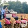 Polri Gelar Panen Raya Jagung di Tuban Perkuat Ketahanan Pangan Nasional