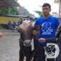 Polres Bojonegoro Berbagi Kebahagiaan dengan Salurkan 22 Sapi dan 40 Kambing Qurban