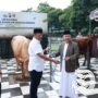 Kapolda Jatim Salurkan Hewan Qurban untuk Masyarakat di Hari Raya Iduladha 1447H