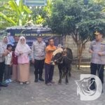 Polres Jombang salurkan sapi Qurban dari Kapolda Jatim