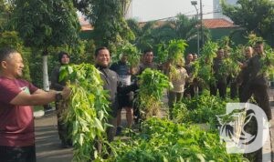 Danrem 084/Bhaskara Jaya Brigjen TNI Kohir panen raya bersama prajurit