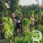 Danrem 084/Bhaskara Jaya Panen Raya bersama Prajurit, Dukung Ketahanan Pangan Nasional