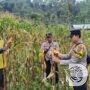 Dukung Ketahanan Pangan Nasional, Polres Ponorogo bersama Warga Kelola Lahan Jagung