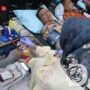 Polresta Sidoarjo Gelar Donor Darah Sambut Hari Bhayangkara ke-80