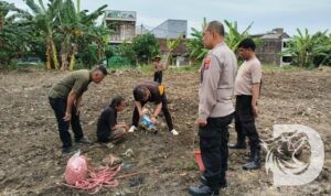 Polres Pelabuhan Tanjung Perak bersama PPL cek pH tanah