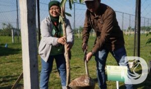 Pegadaian Kanwil XII Surabaya tanam 240 pohon