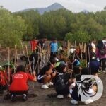Penanaman ribuan bibit mangrove di lahan seluas sekitar 19 hektare