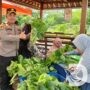 Polres Pelabuhan Tanjung Perak Panen Sawi Hidroponik, Dukung Ketahanan Pangan